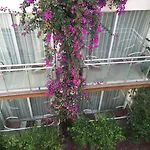 Marin-a Hotel&spa Hotel Turgutreis