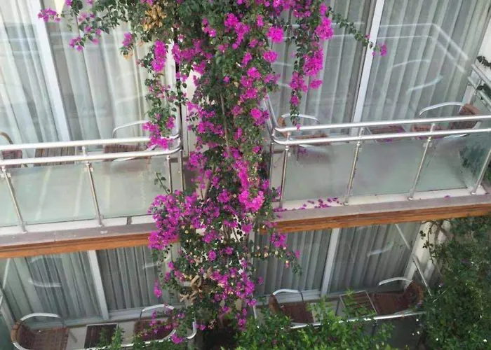 Marin-a & Hotel Turgutreis